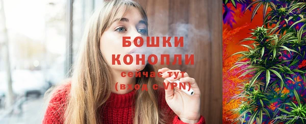 тгк Богданович